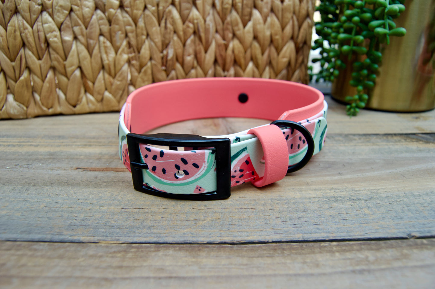 Watermelon: Printed Double Layer Biothane Dog Collar