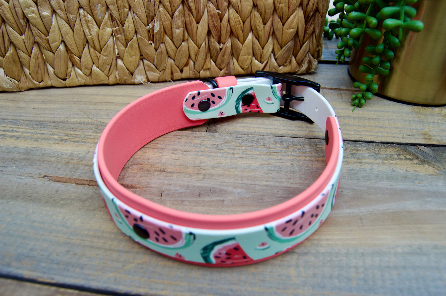 Watermelon: Printed Double Layer Biothane Dog Collar