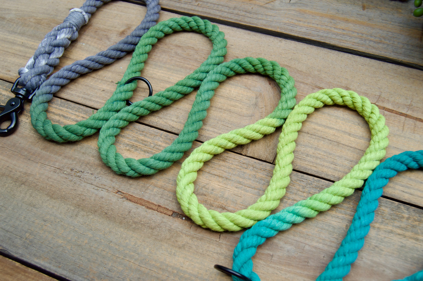 JEWEL: Handsfree Rope Dog Leash