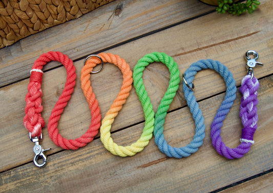 RAINBOW: Handsfree Rope Dog Leash