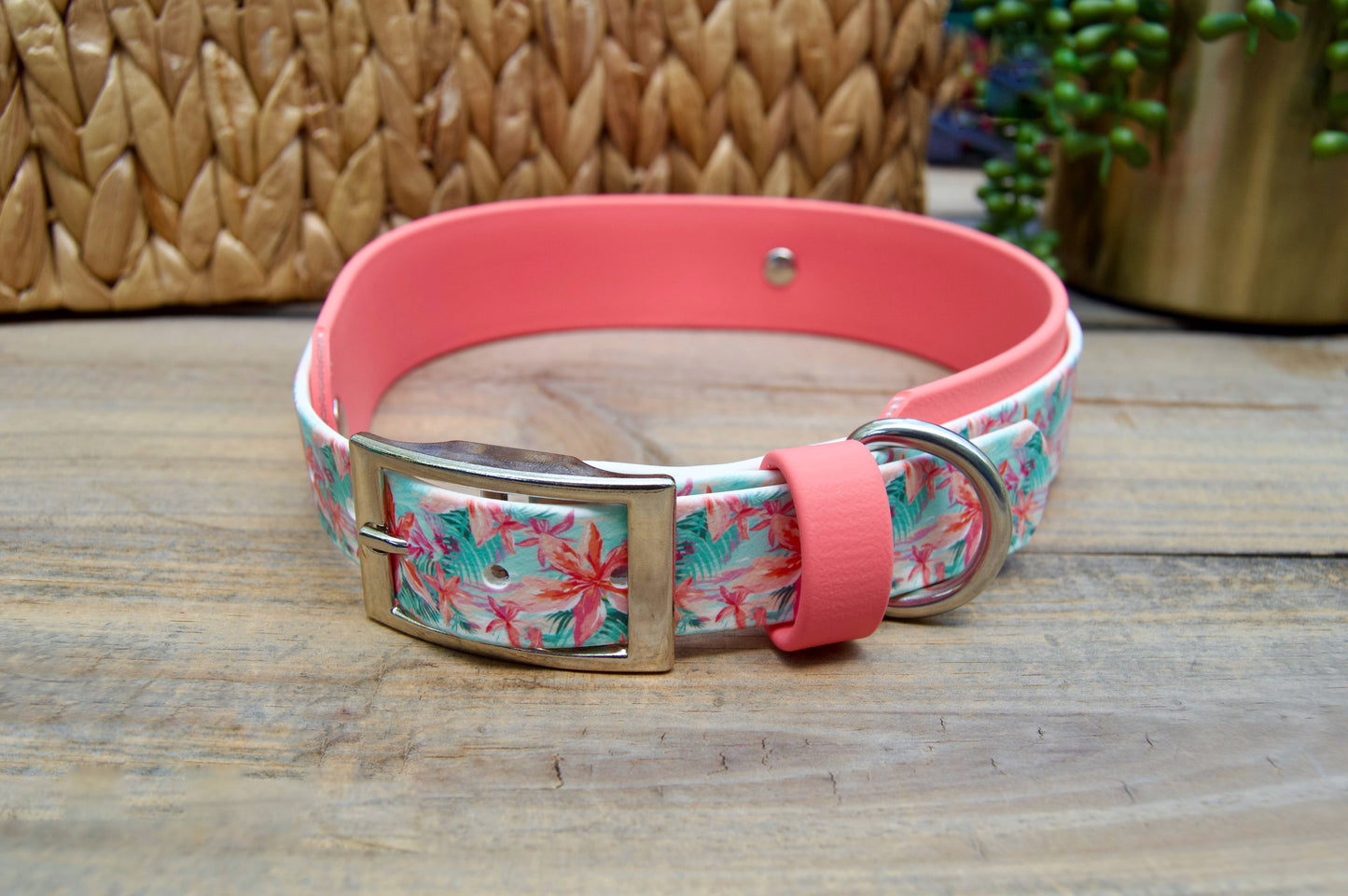 Island: Printed Double Layer Biothane Dog Collar