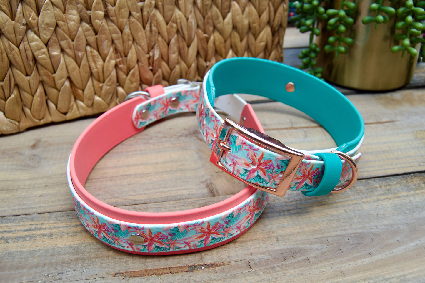 Island: Printed Double Layer Biothane Dog Collar