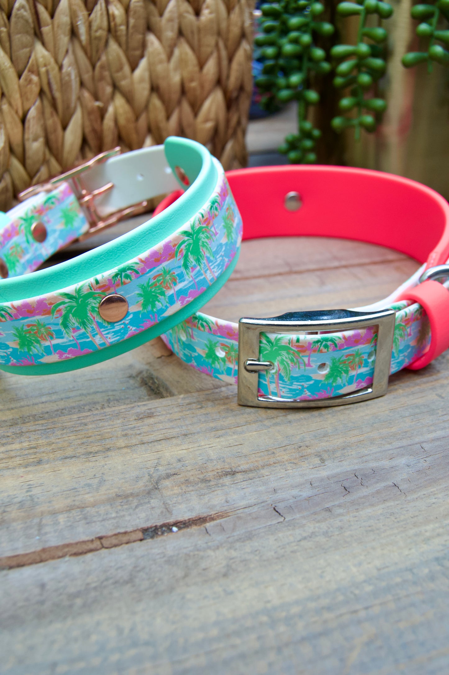 Palm: Printed Double Layer Biothane Dog Collar