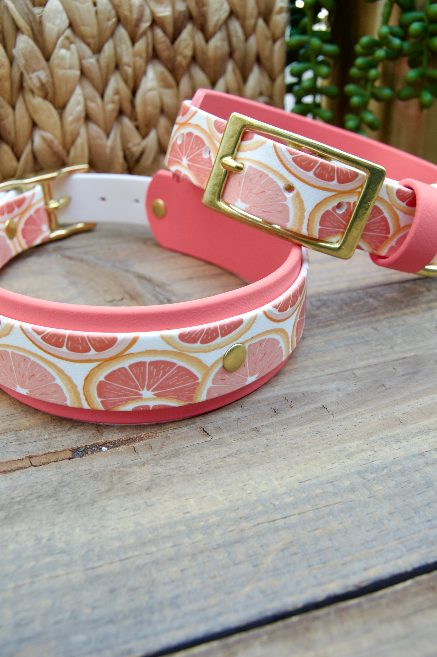 Grapefruit: Printed Double Layer Biothane Dog Collar
