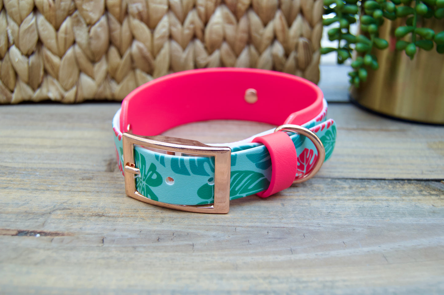 Monstera: Printed Double Layer Biothane Dog Collar
