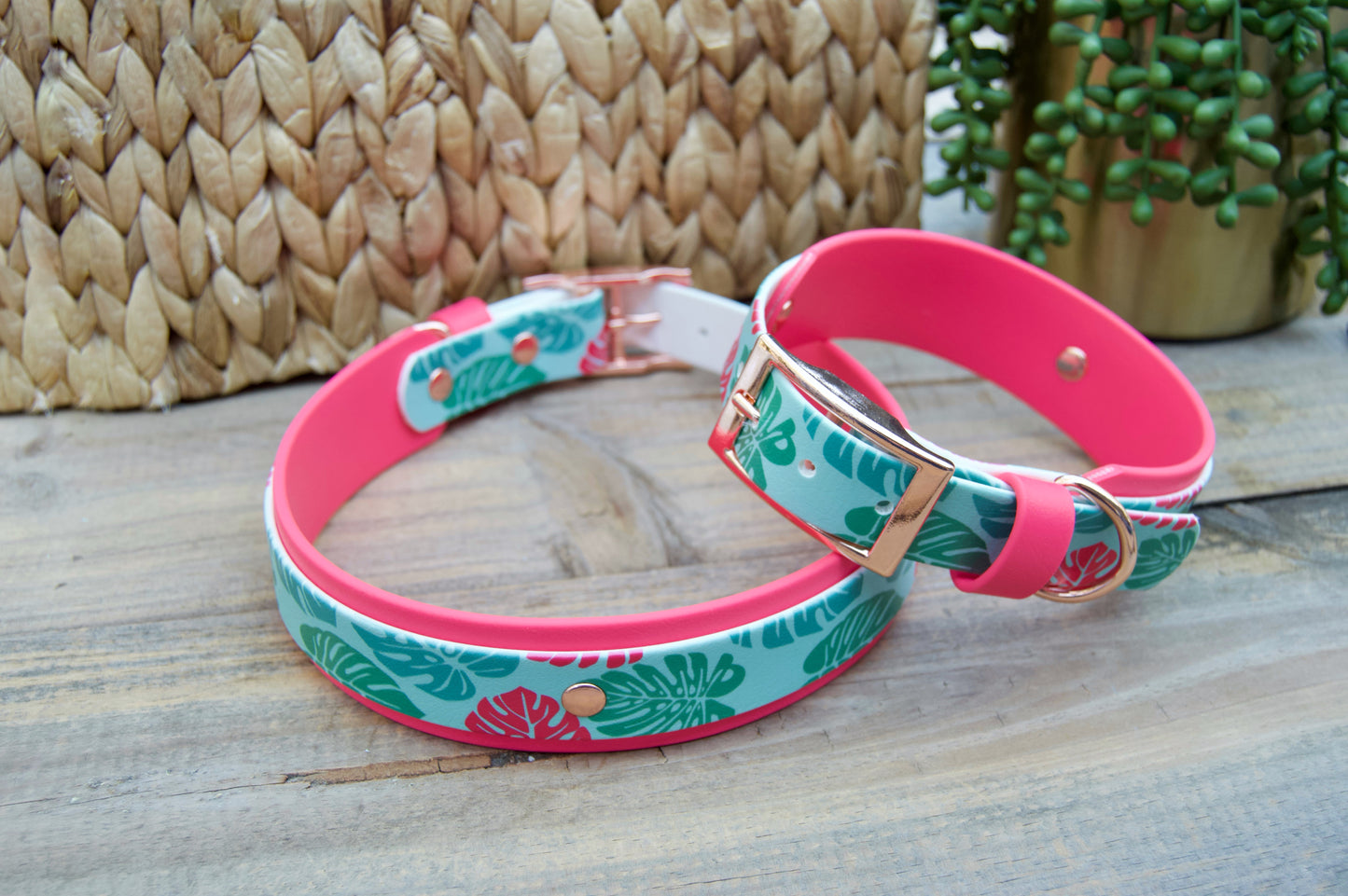 Monstera: Printed Double Layer Biothane Dog Collar