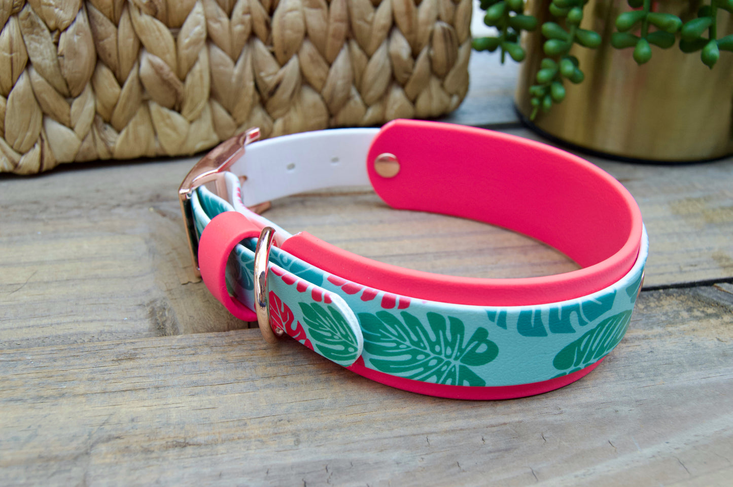 Monstera: Printed Double Layer Biothane Dog Collar