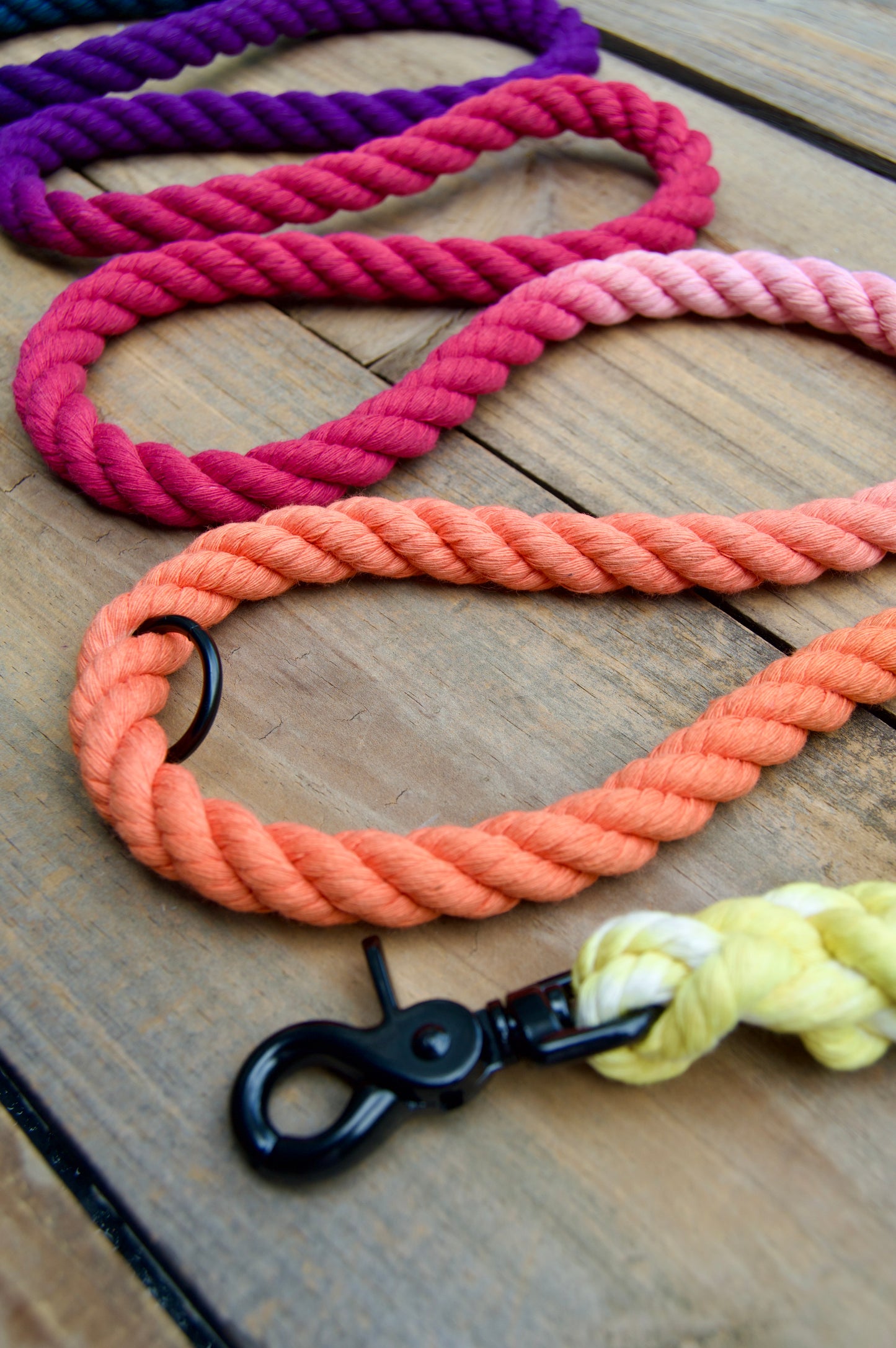 SUNSET: Handsfree Rope Dog Leash
