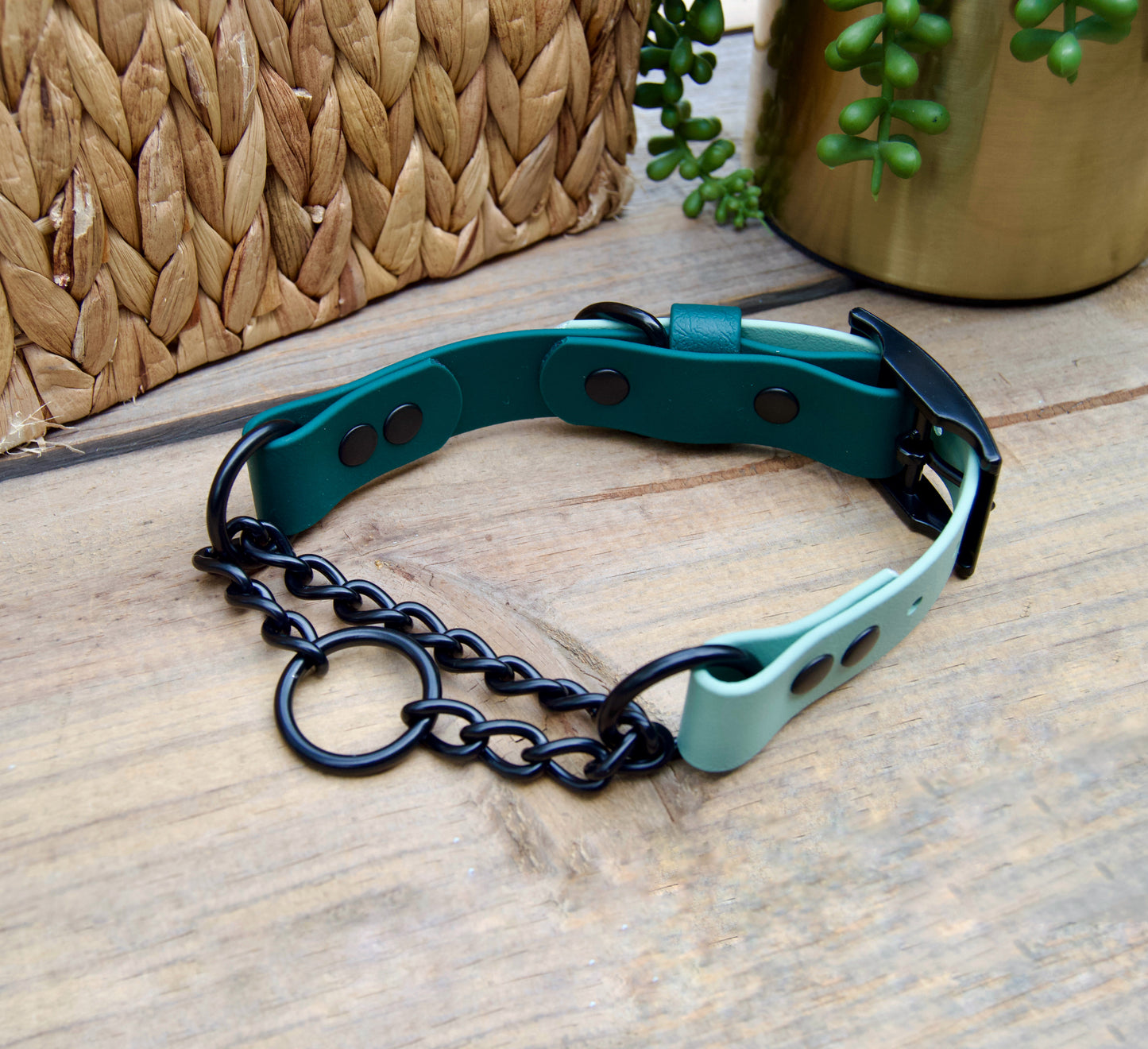 Bundle of Two Color Chain Martingale Biothane Dog Collar and Leash