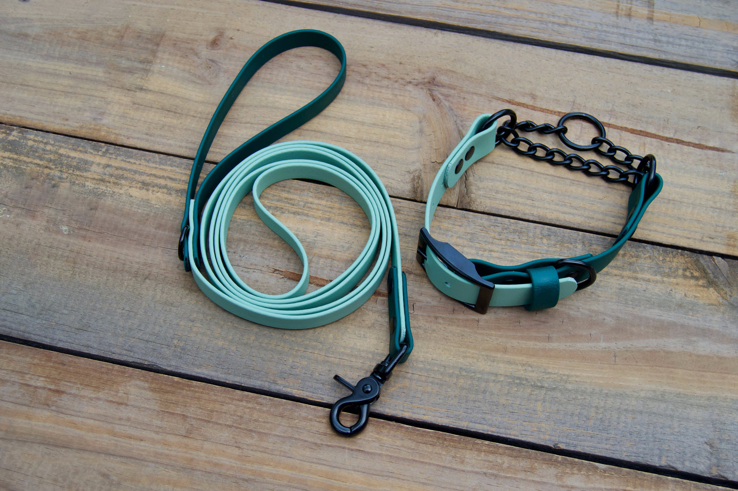 Bundle of Two Color Chain Martingale Biothane Dog Collar and Leash