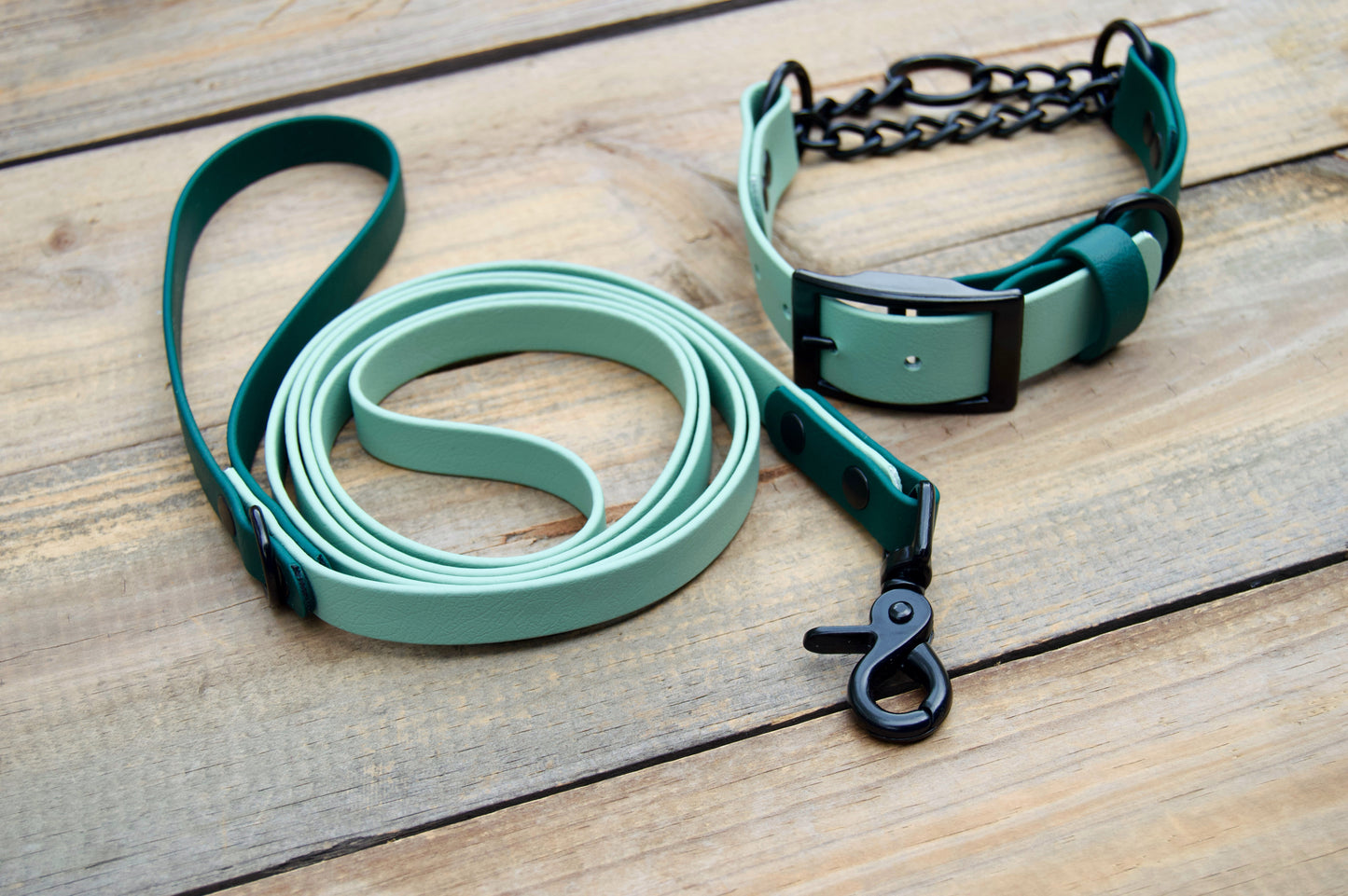 Bundle of Two Color Chain Martingale Biothane Dog Collar and Leash