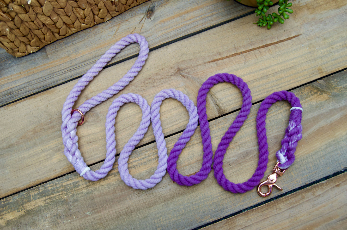 Custom Two Color Rope Dog Leash