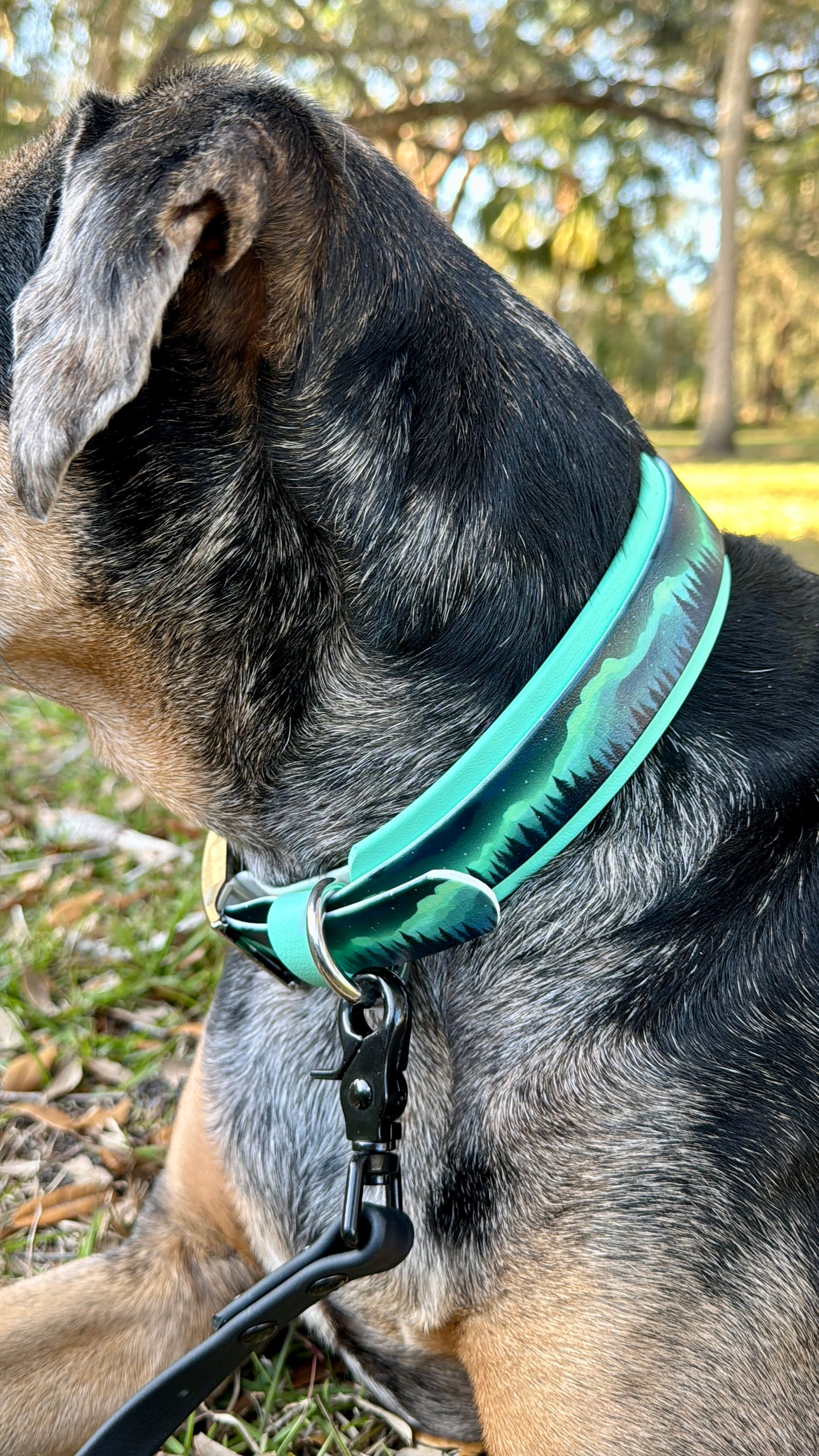 Northern Lights: Printed Double Layer Biothane Dog Collar