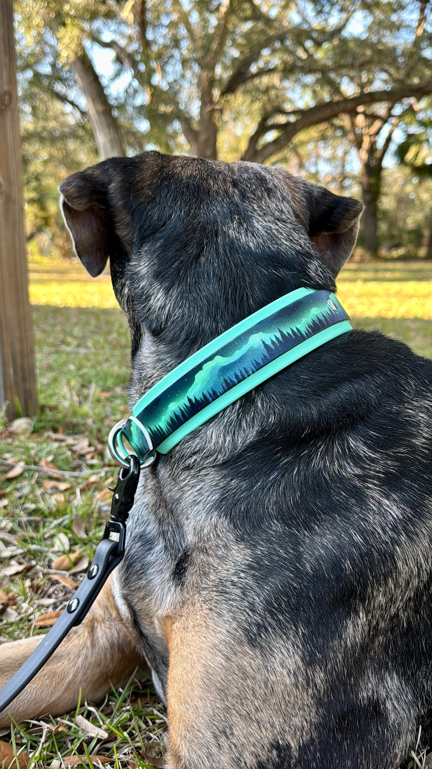 Northern Lights: Printed Double Layer Biothane Dog Collar