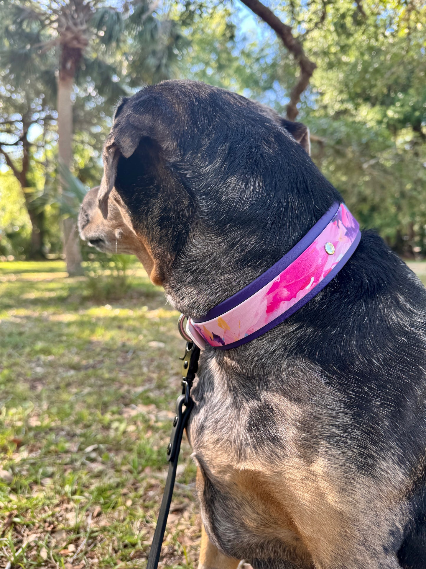 Pink Paint: Printed Double Layer Biothane Dog Collar
