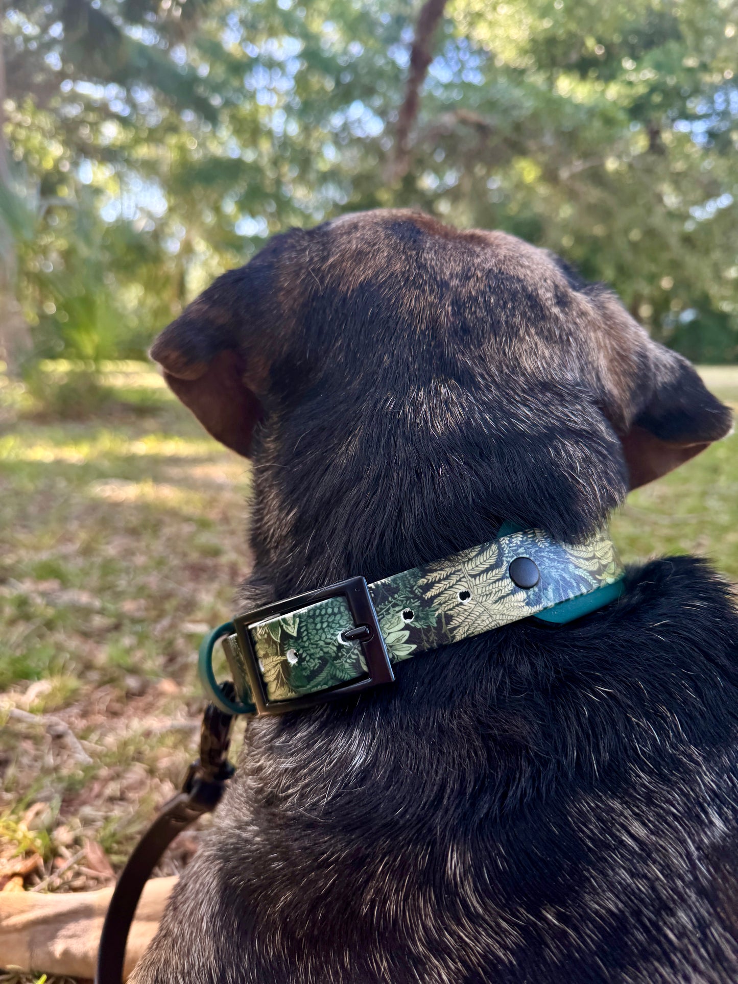 Fern: Printed Double Layer Biothane Dog Collar