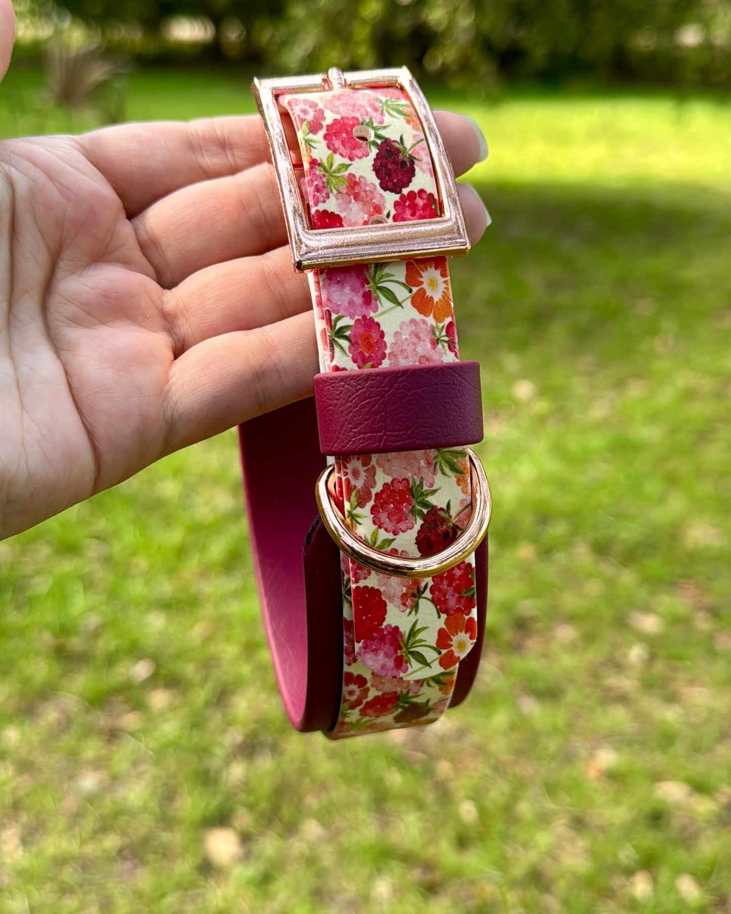 Raspberries: Printed Double Layer Biothane Dog Collar