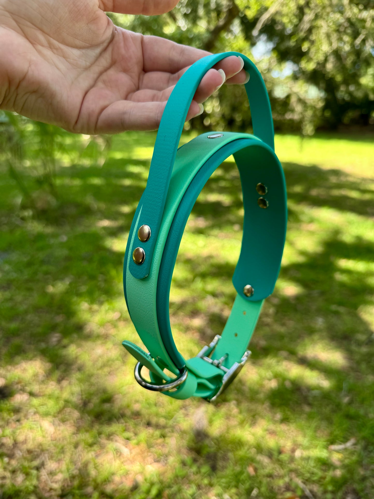 Sport Handle Double Layer Biothane Dog Collar