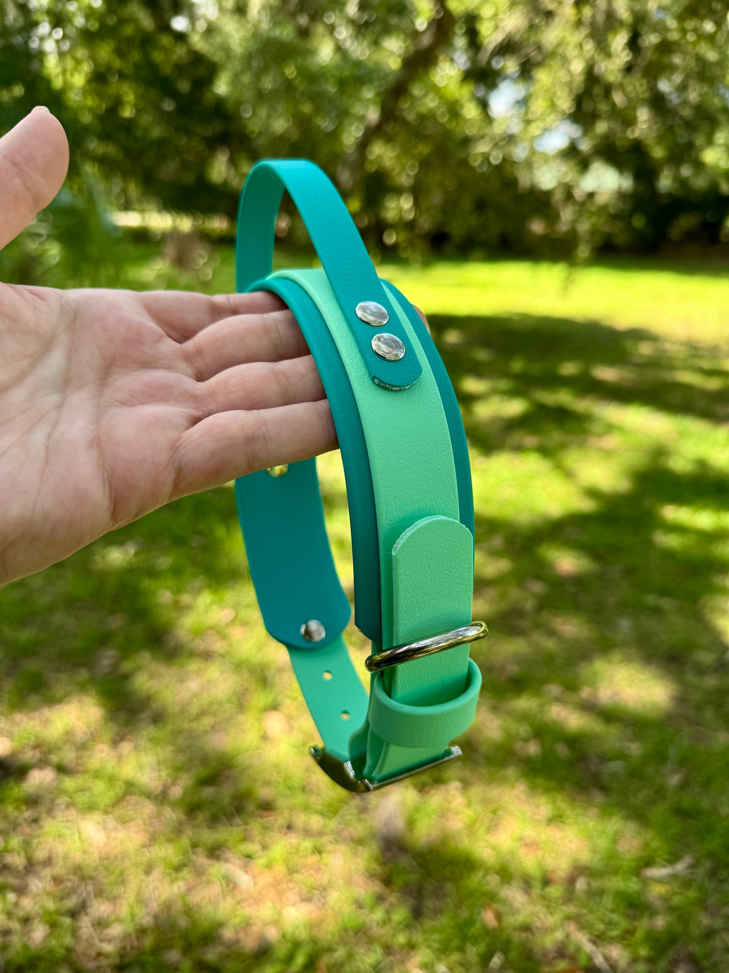 Sport Handle Double Layer Biothane Dog Collar