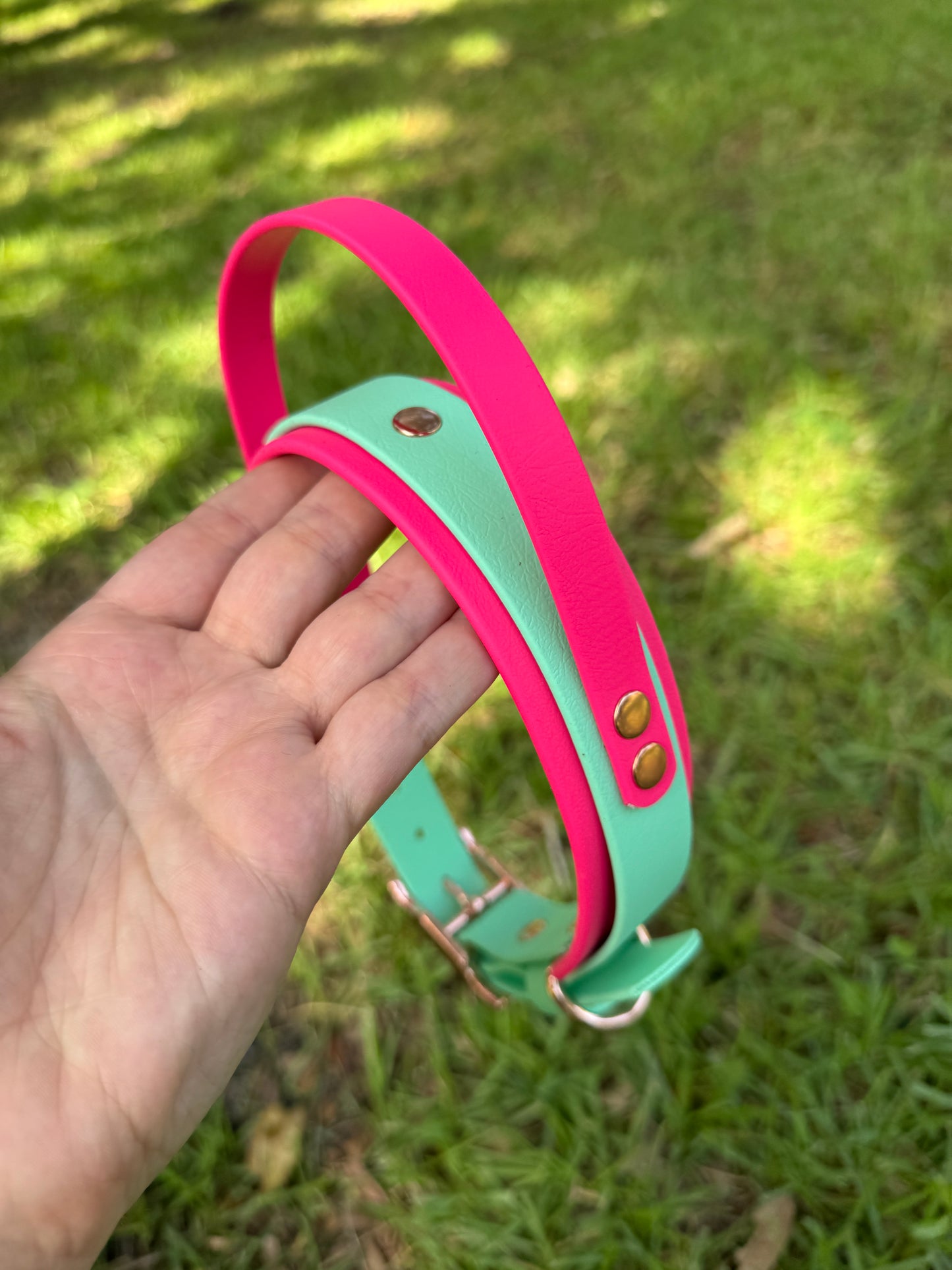 RTS 16-19 INCH Mint Green and Raspberry Sport Handle Biothane Dog Collar