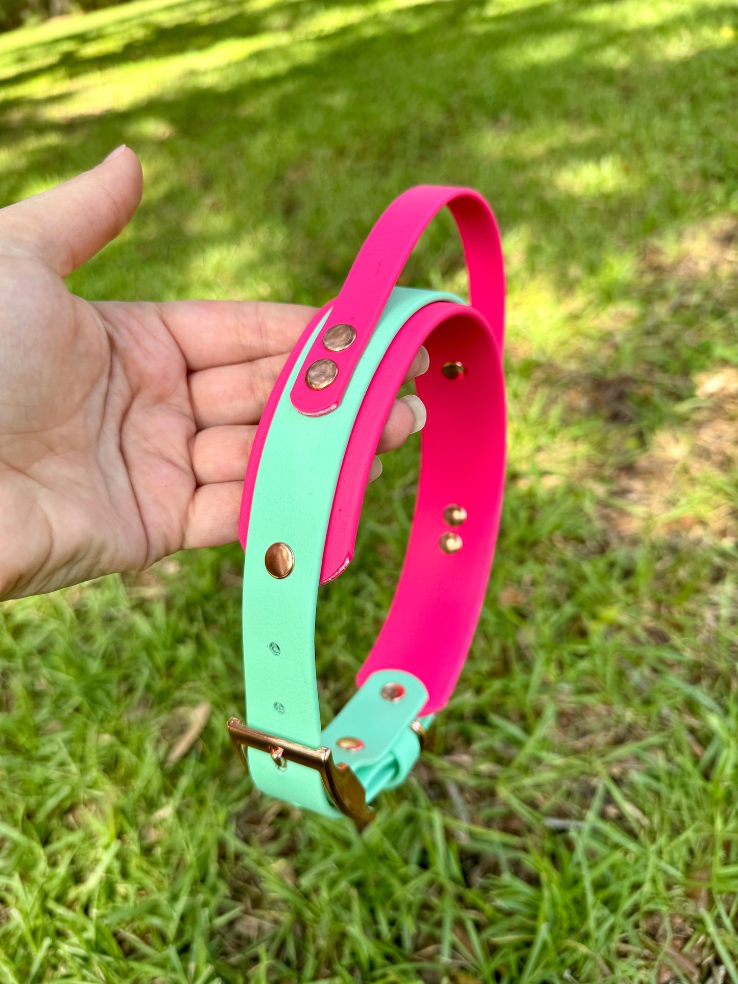 RTS 16-19 INCH Mint Green and Raspberry Sport Handle Biothane Dog Collar