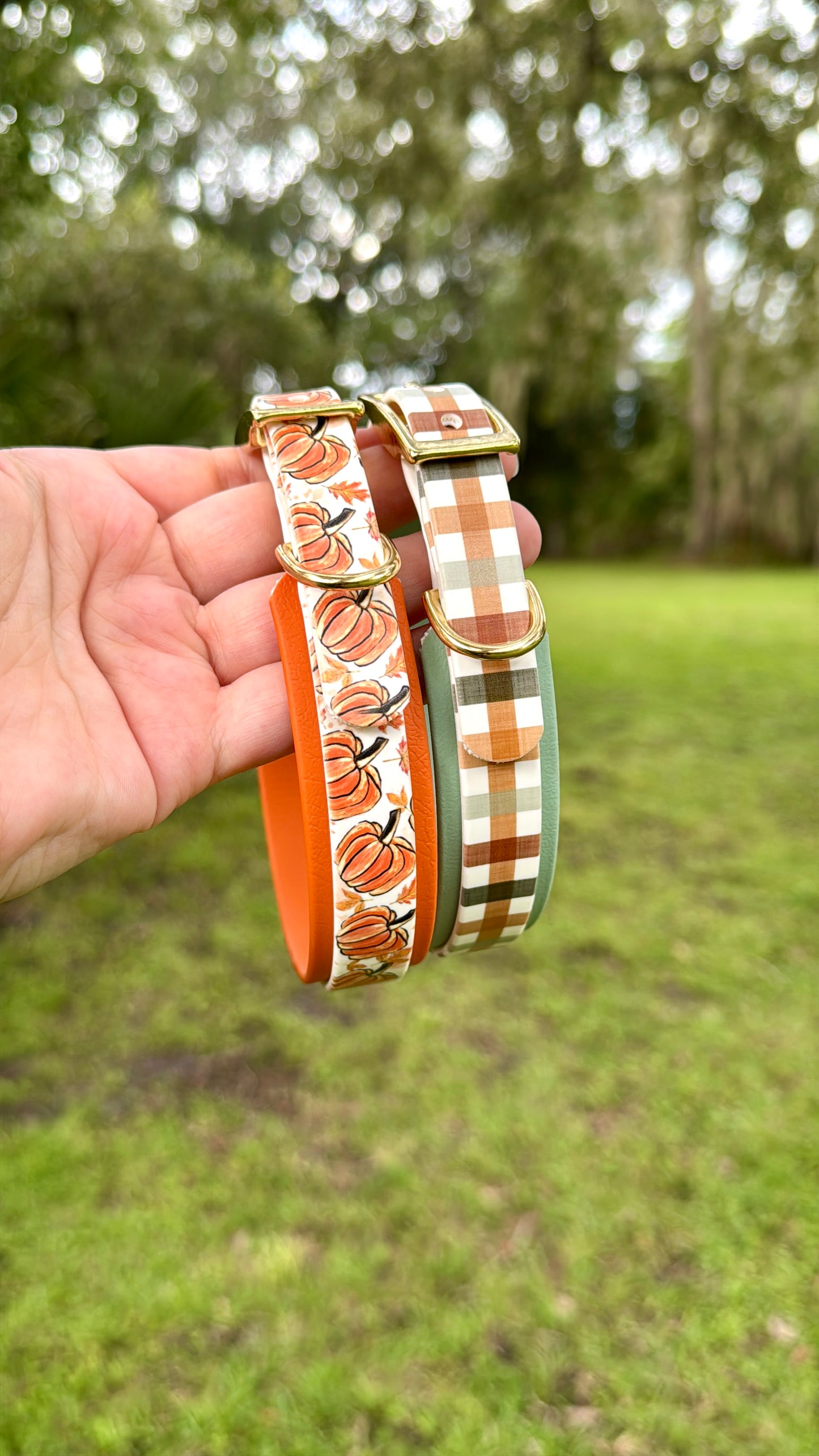 Hand holding a dog collar with plaid pattern against a grassy background