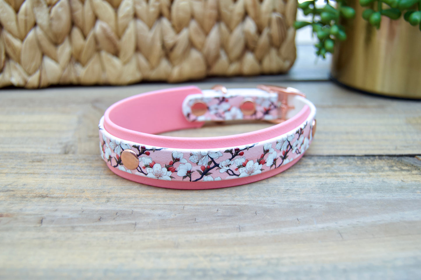 cherry blossom patterned biothane dog collar with pastel pink accents on a wooden surface