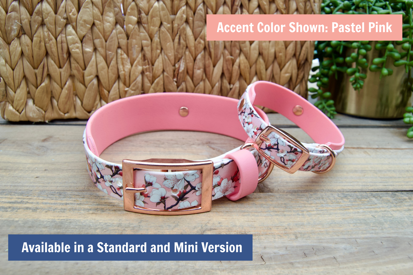 Mini and standard cherry blossom biothane collar stacked on a wooden surface