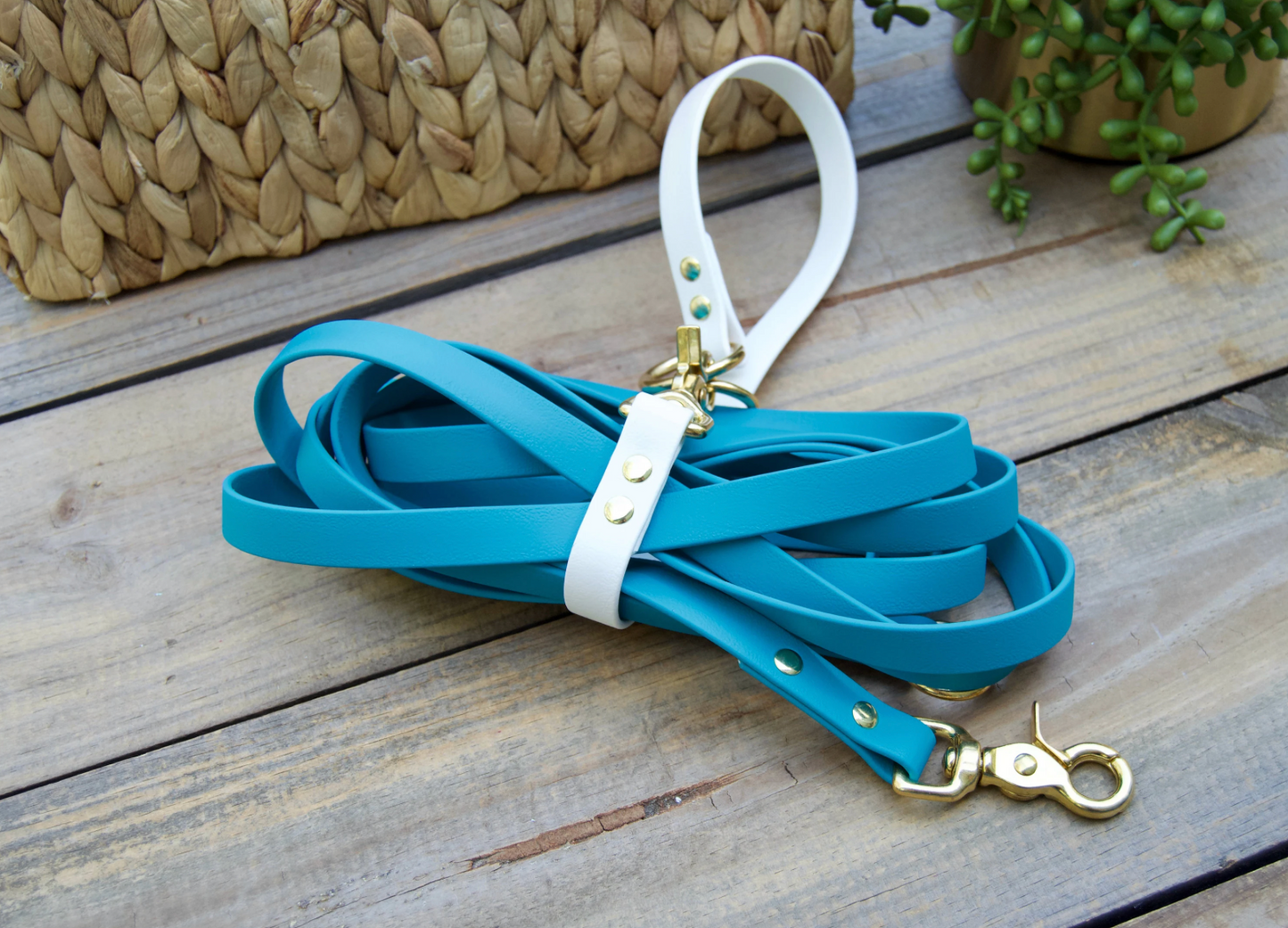 Biothane Recall Long Line Dog Leash