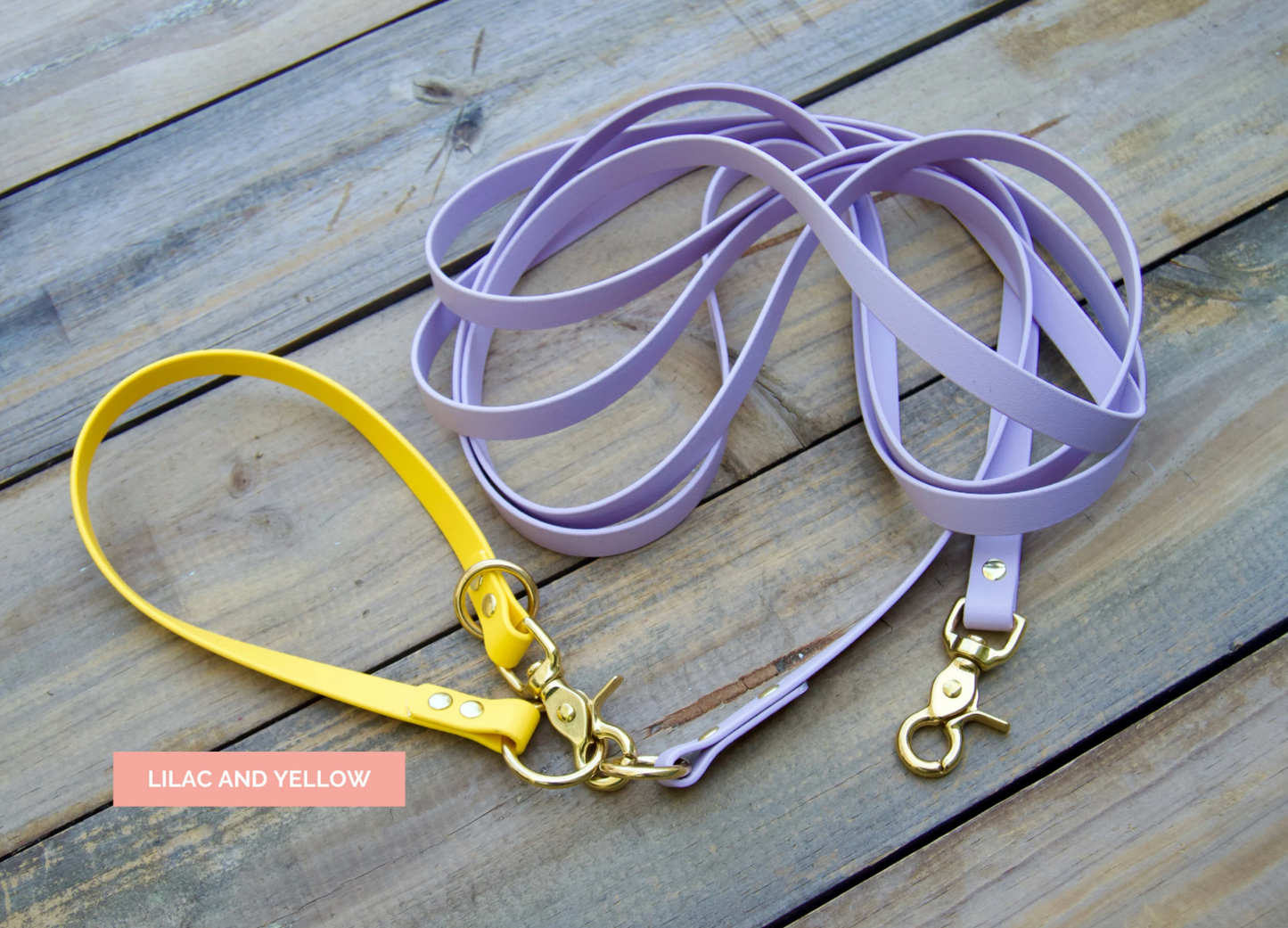 Biothane Recall Long Line Dog Leash