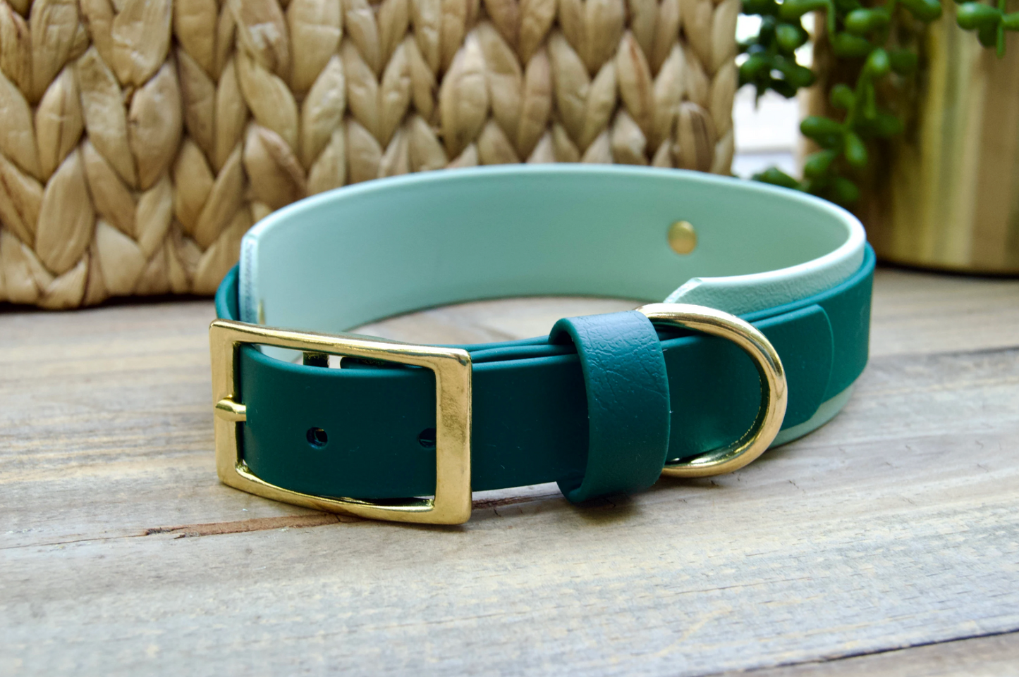 Bundle of Double Layer Biothane Dog Collar and Leash