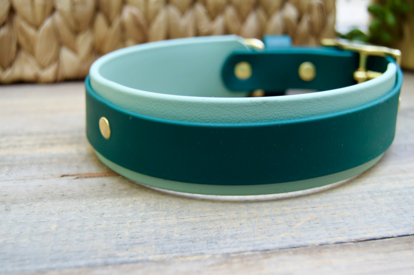 Bundle of Double Layer Biothane Dog Collar and Leash