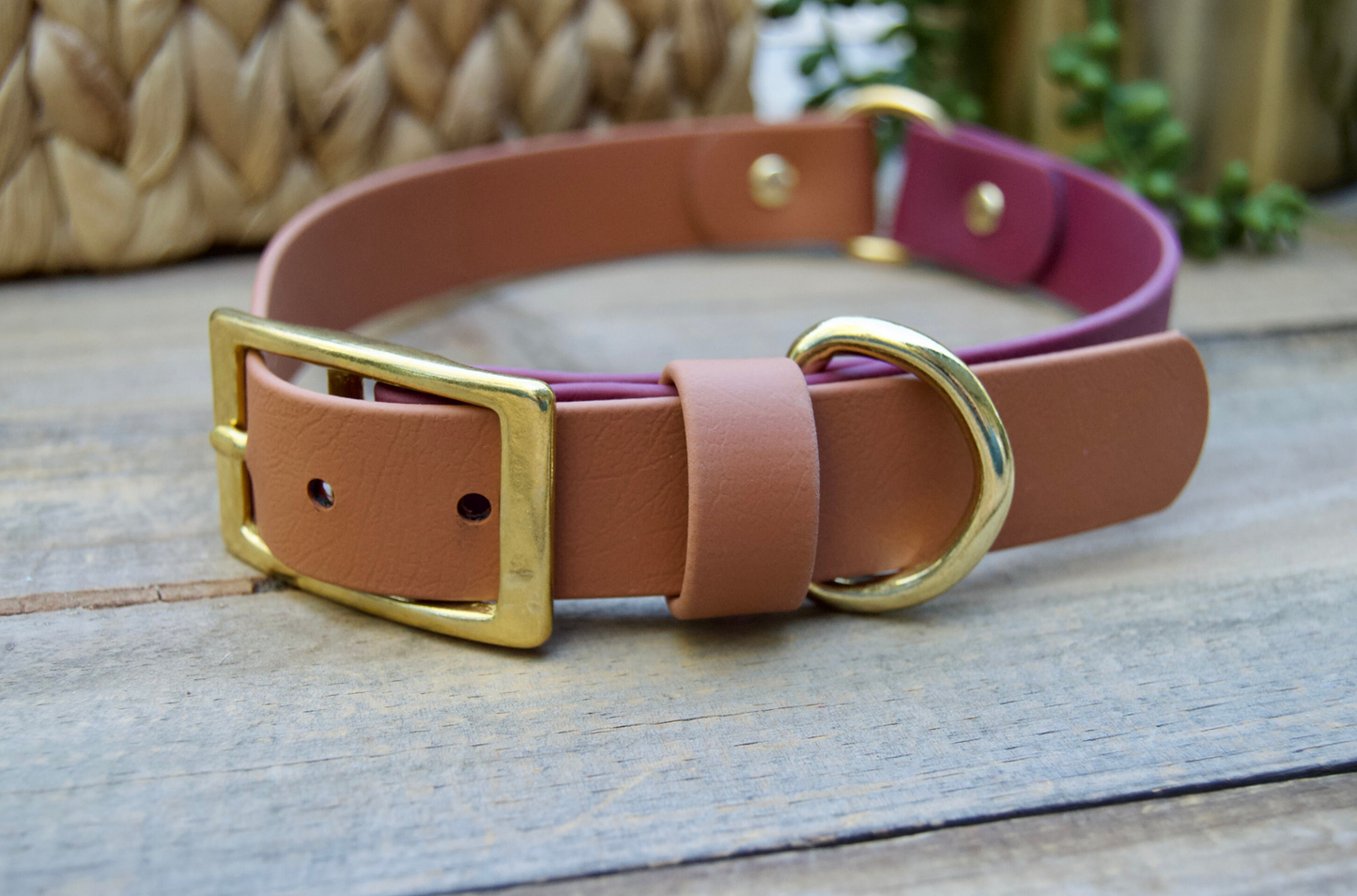 Center O-Ring Biothane Dog Collar
