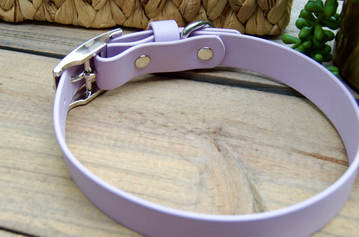 Classic 1IN Biothane Dog Collar