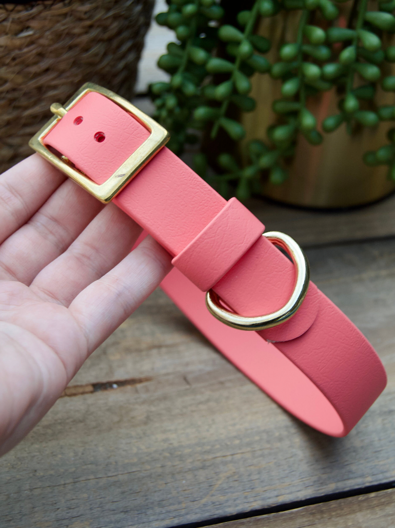 Classic 1IN Biothane Dog Collar