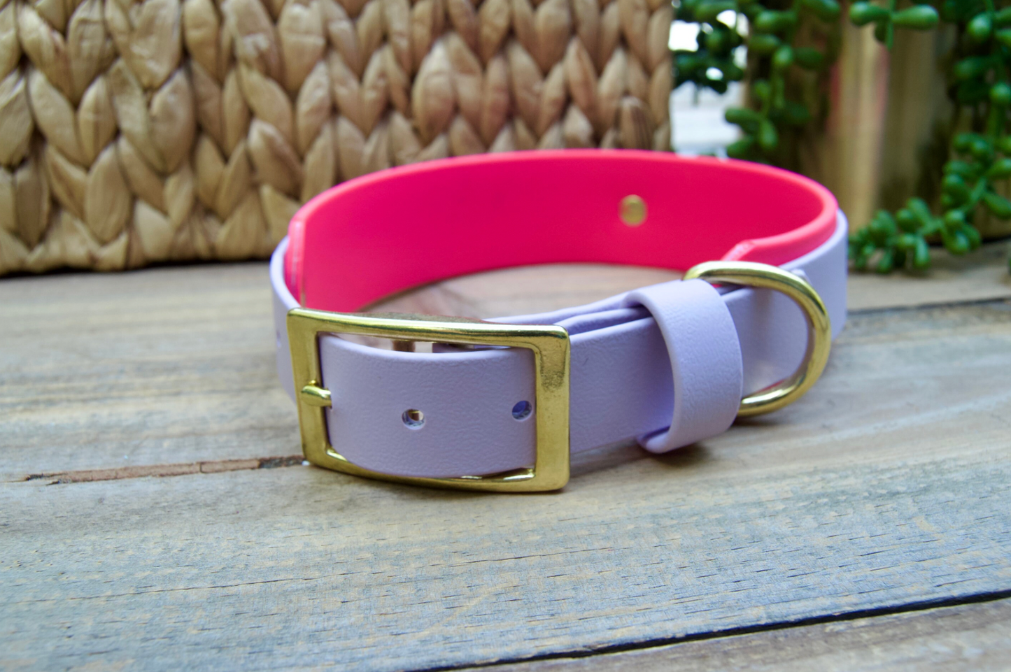 Double Layer Biothane Dog Collar