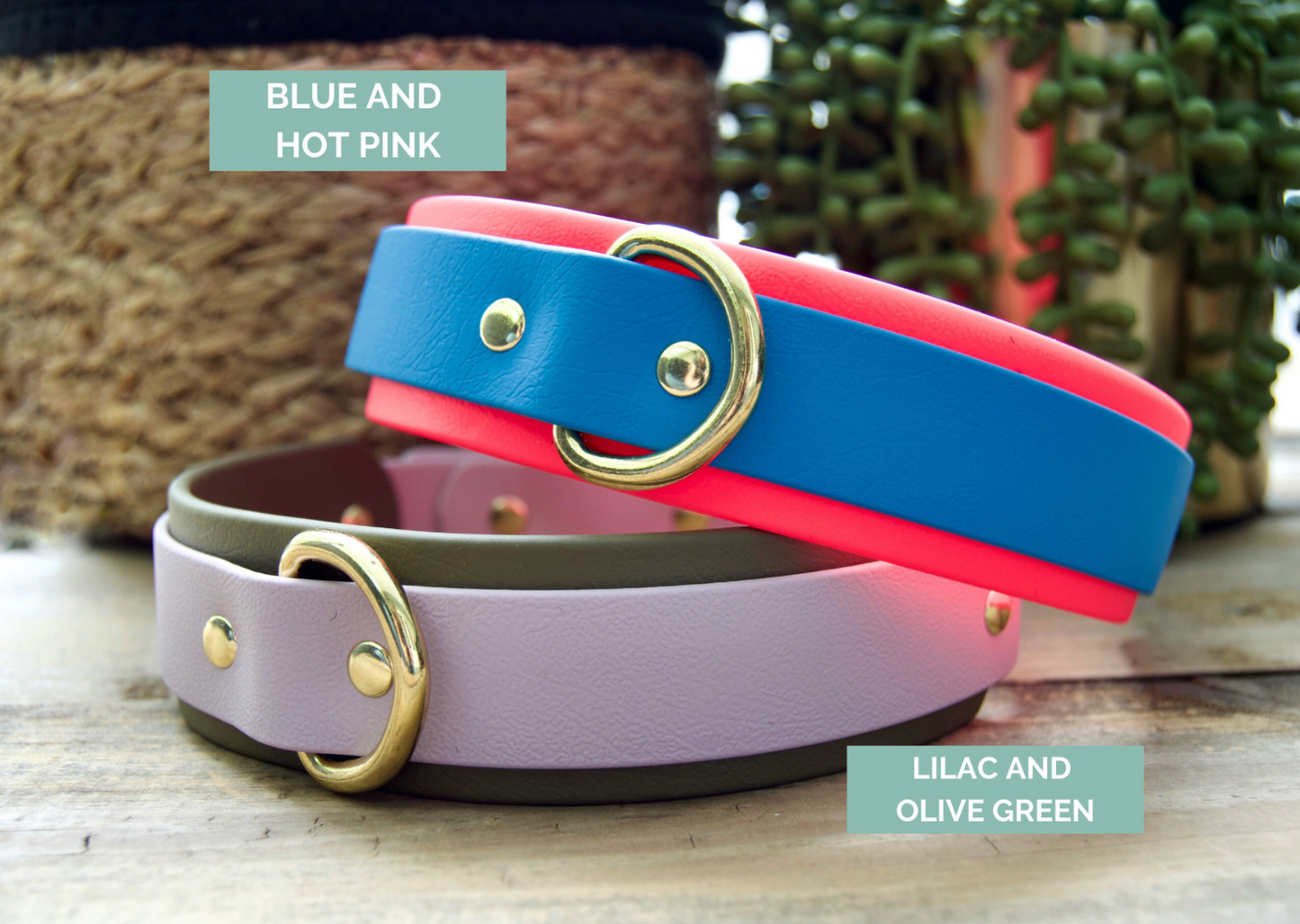 Double Layer Biothane Dog Collar with Rear D-Ring