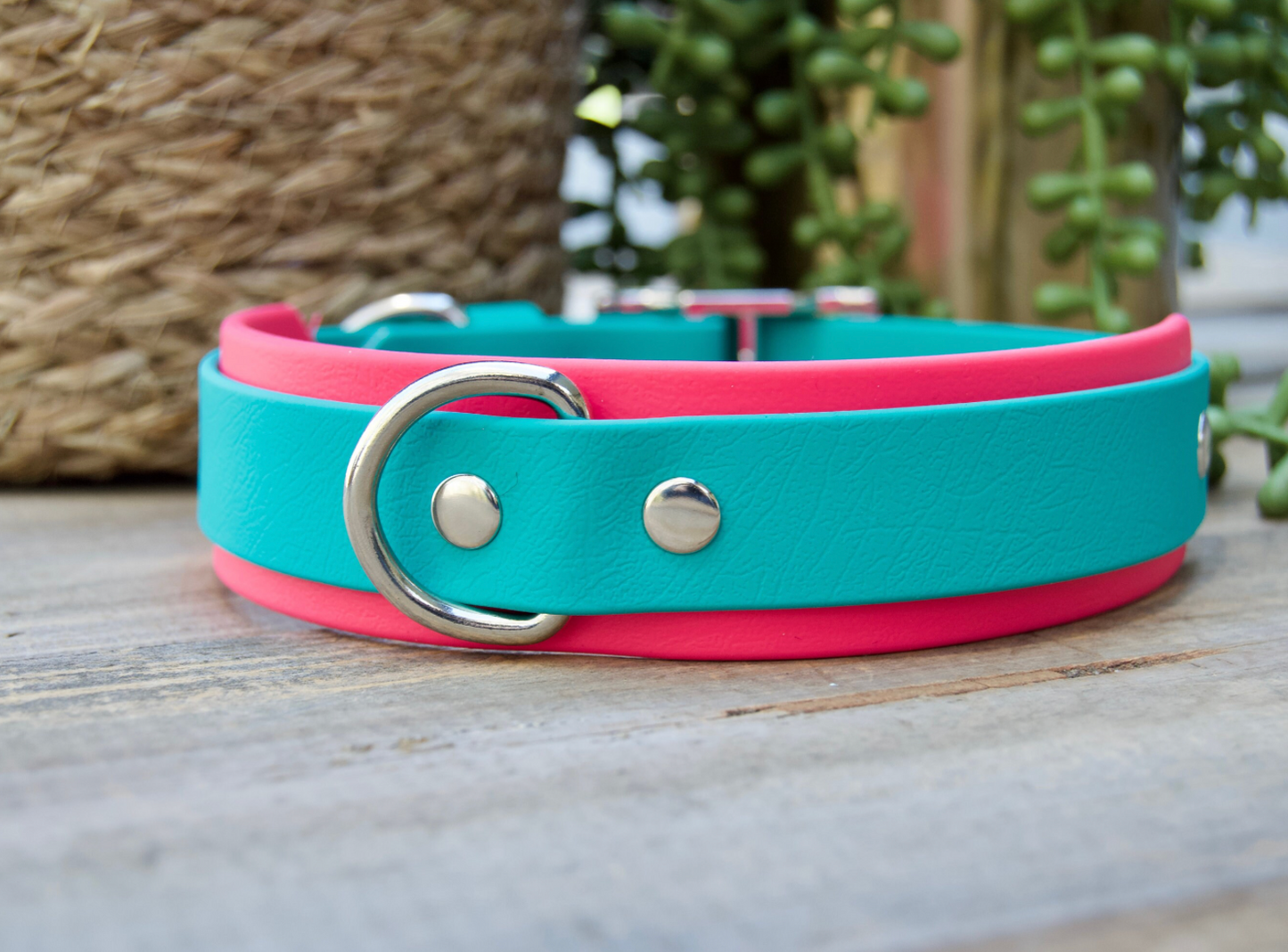 Double Layer Biothane Dog Collar with Rear D-Ring