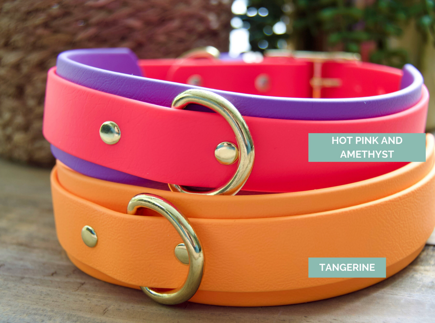 Double Layer Biothane Dog Collar with Rear D-Ring
