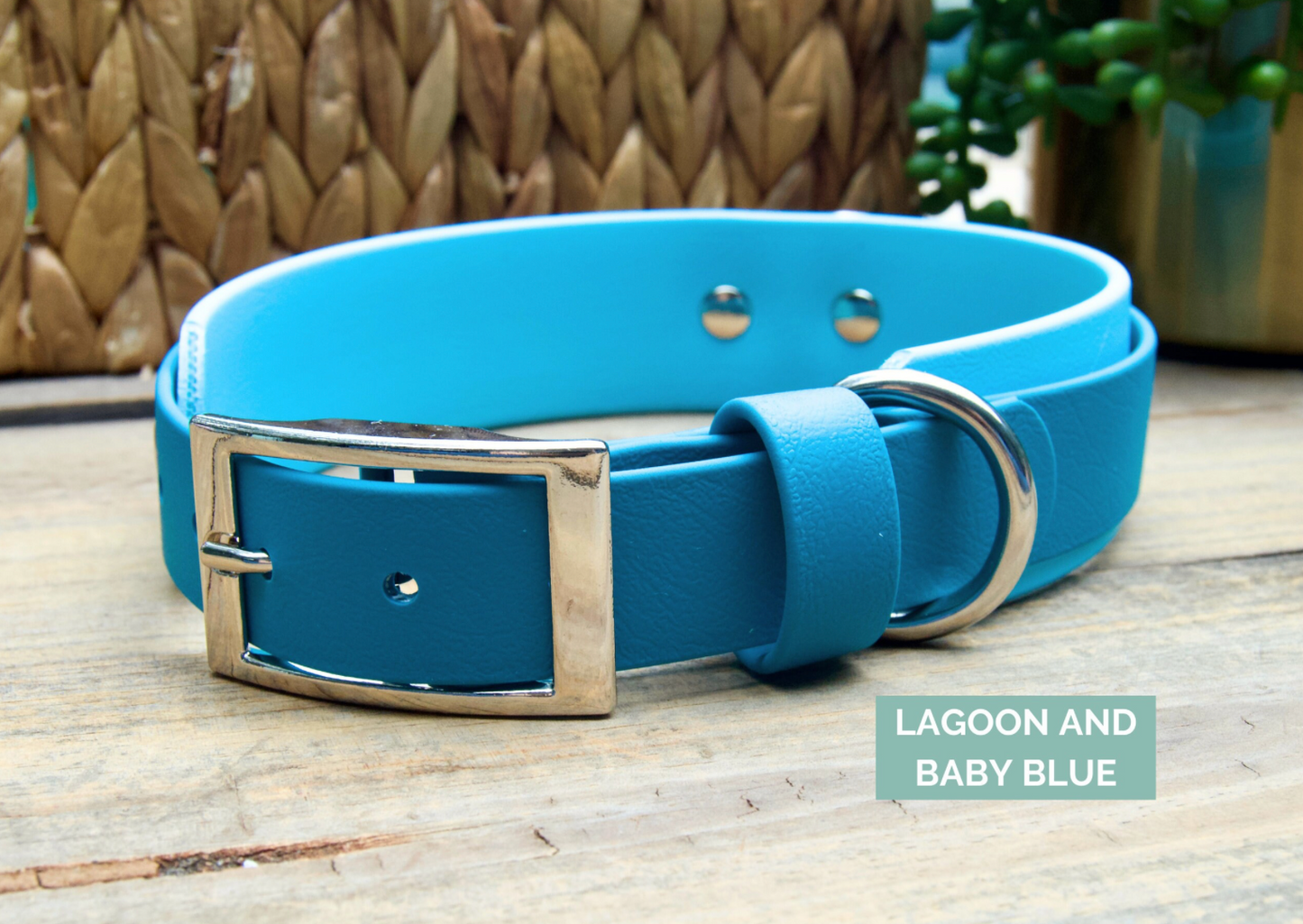 Double Layer Biothane Dog Collar with Rear D-Ring