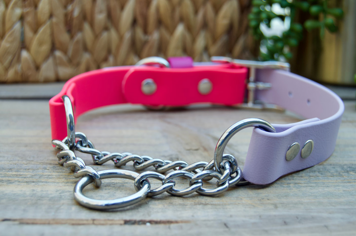 Martingale Adjustable Biothane Dog Collar