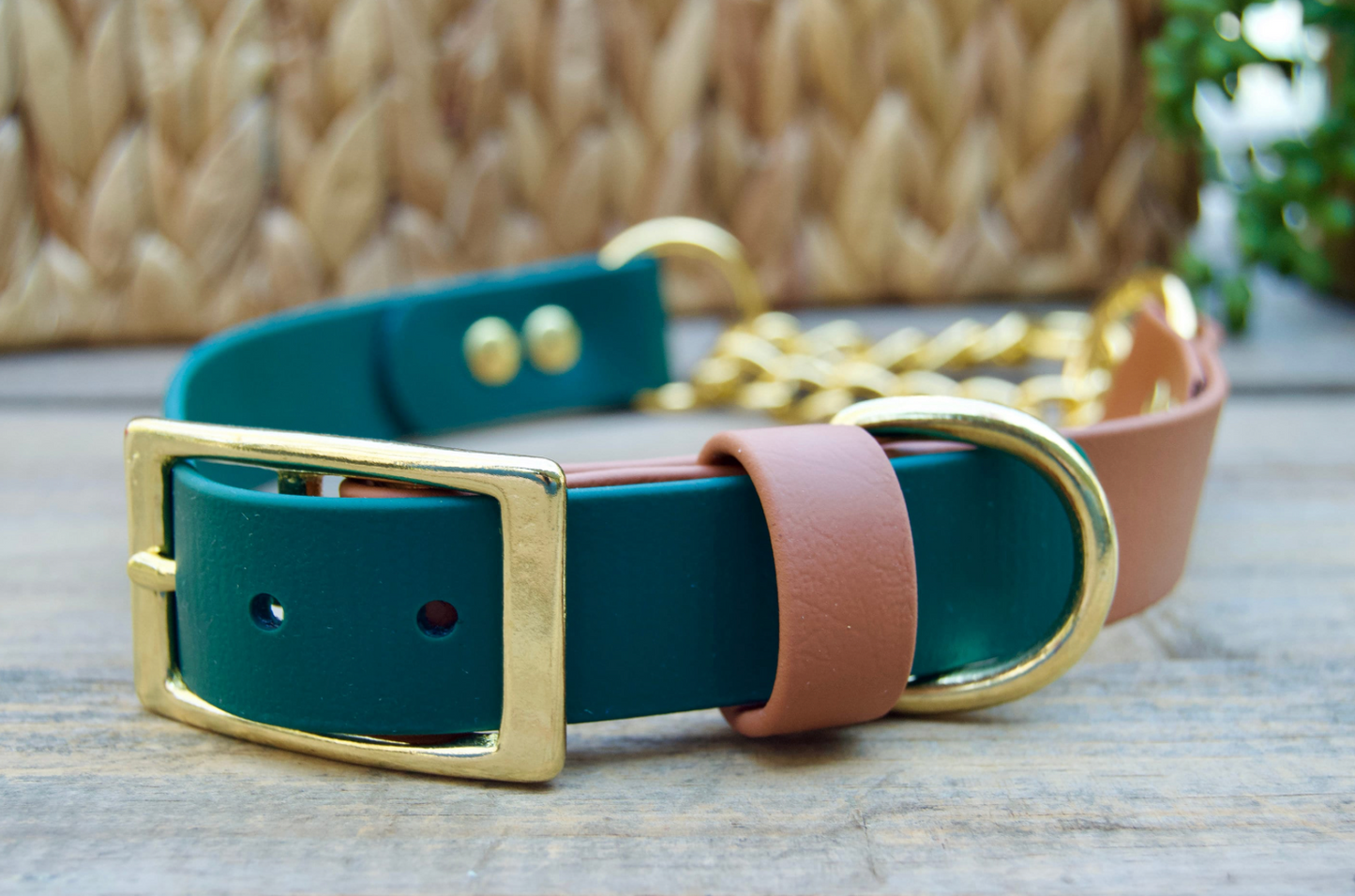 Martingale Adjustable Biothane Dog Collar
