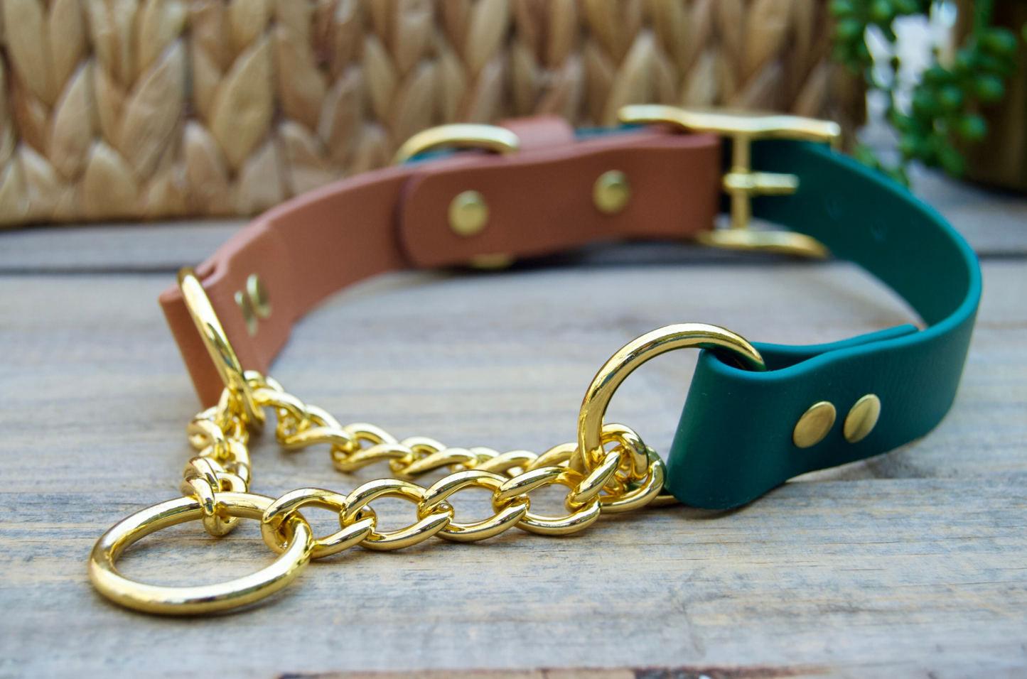 Martingale Adjustable Biothane Dog Collar