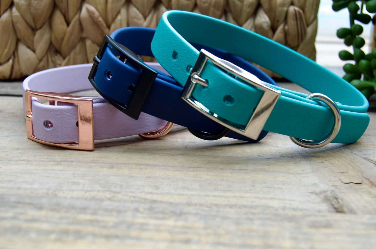 Mini Classic 5/8IN Biothane Dog Collar