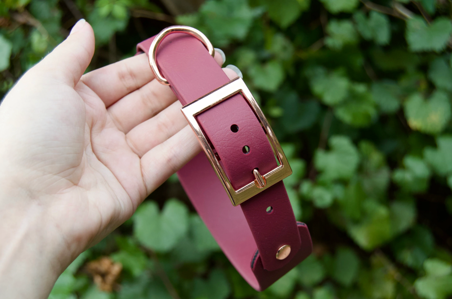 Tapered Double Layer Biothane Dog Collar