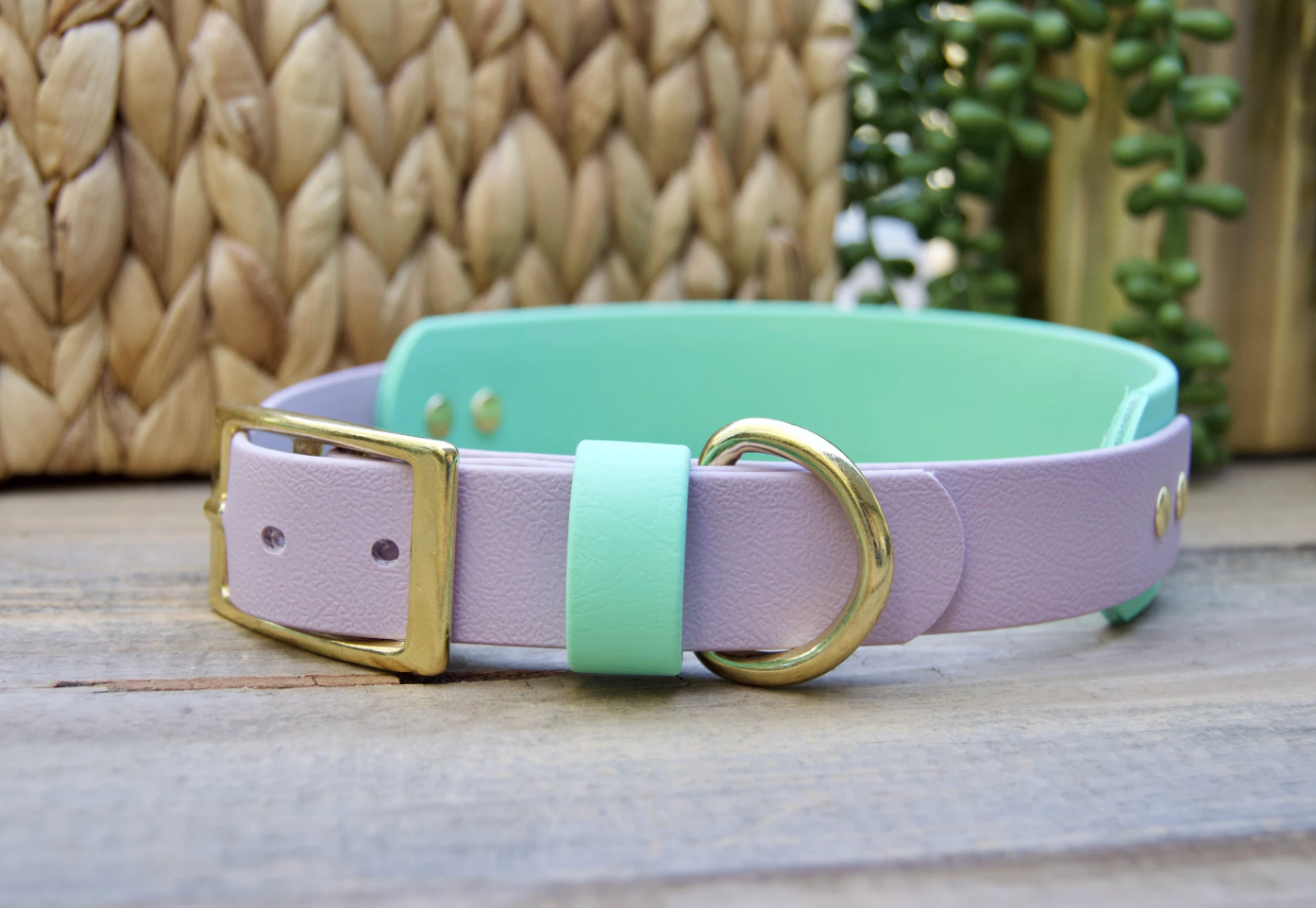 Tapered Double Layer Biothane Dog Collar