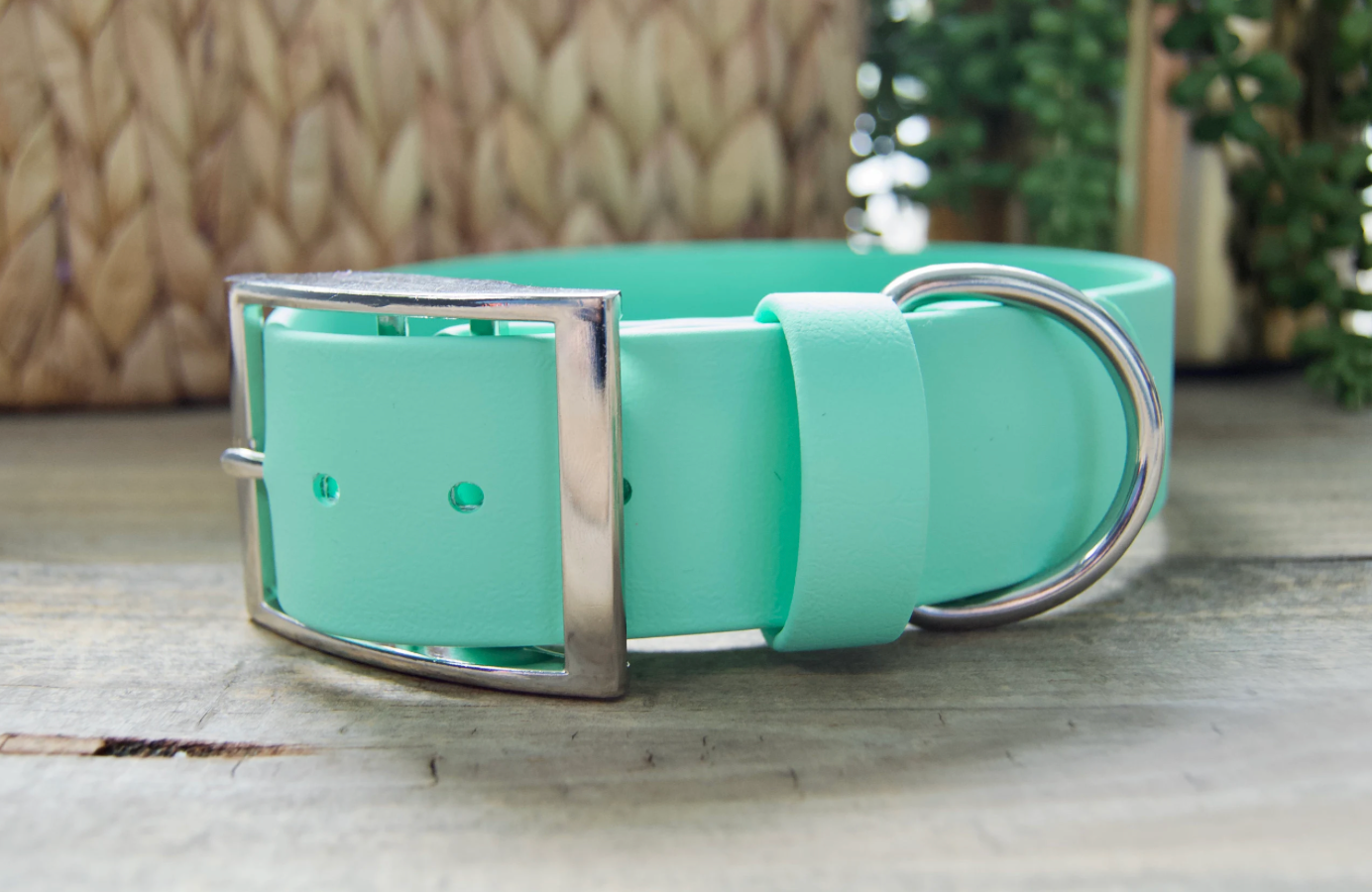 XL 1.5IN Biothane Dog Collar
