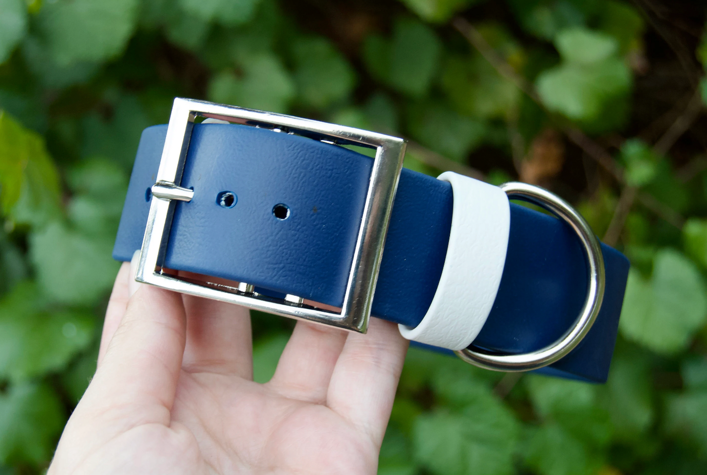 XL 1.5IN Biothane Dog Collar