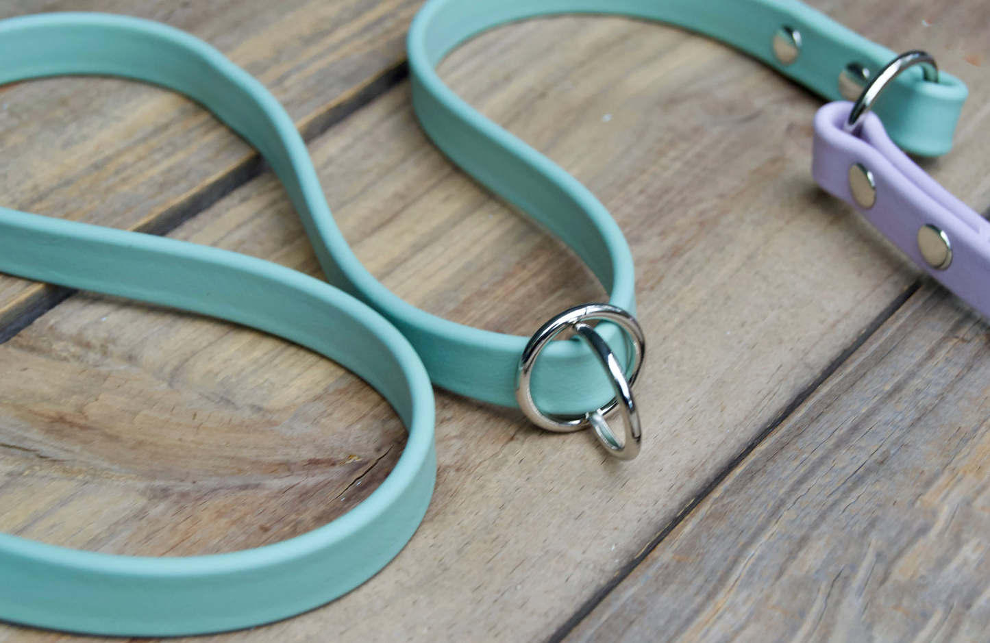 Handsfree Biothane Dog Leash with Traffic Handle