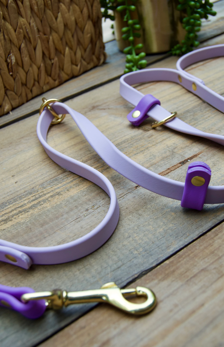 Handsfree Biothane Dog Leash